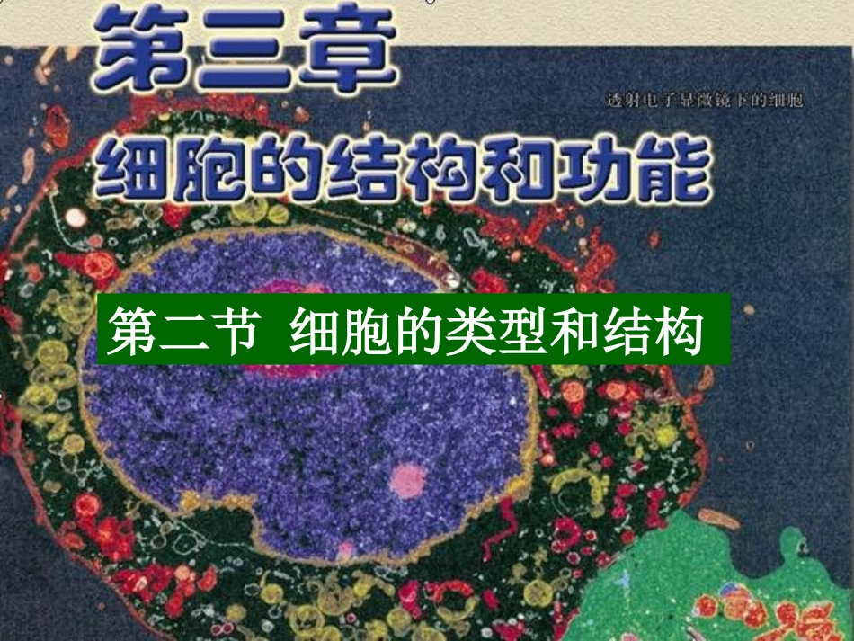 细胞的类型和结构_第1页