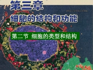 细胞的类型和结构