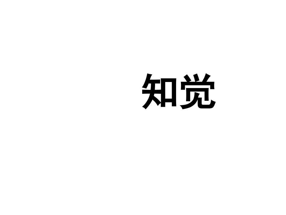 视觉呈现刺激_第2页