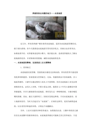 规模化养猪环境控制专家谈 (18)