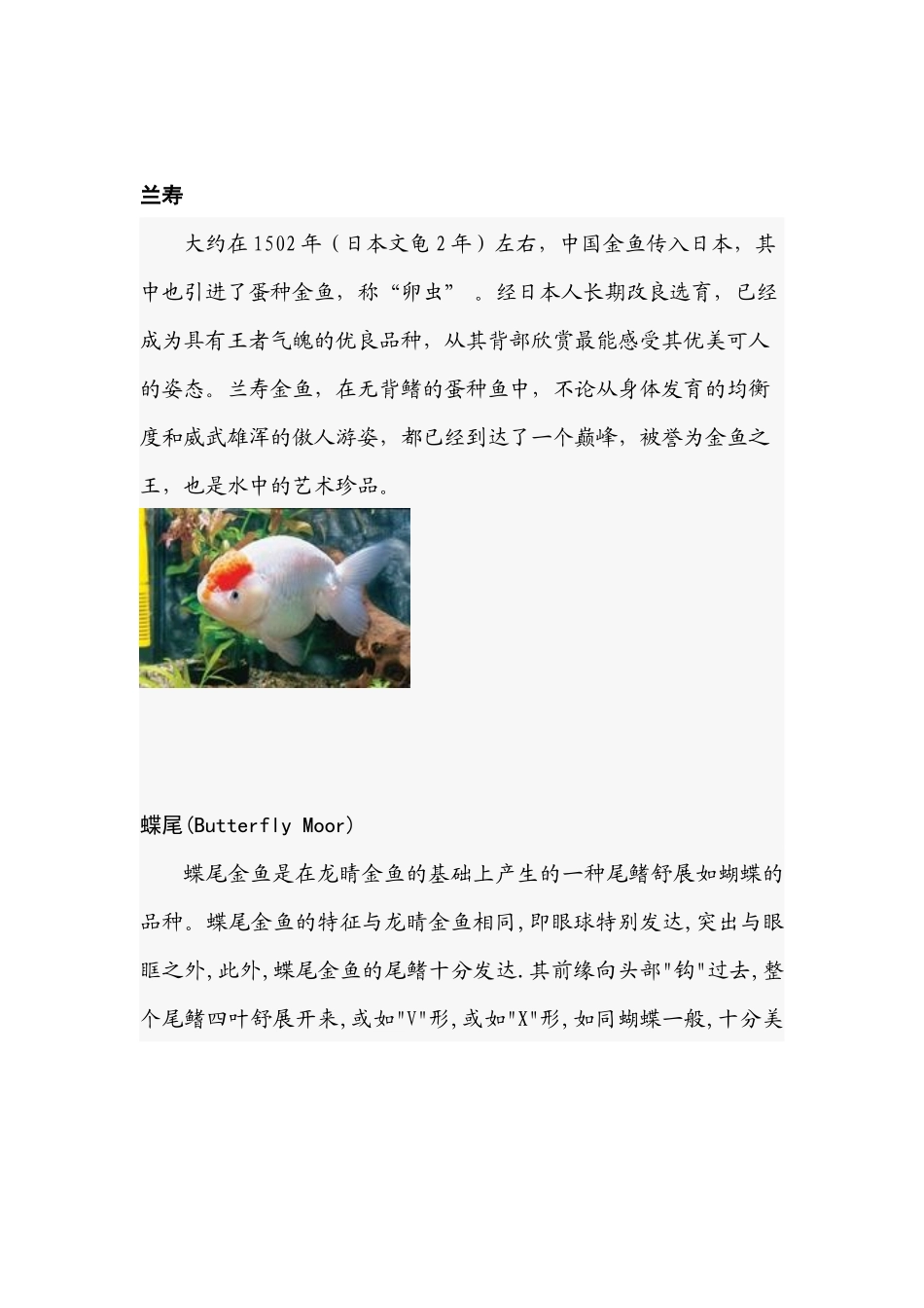 观赏金鱼资料_第3页