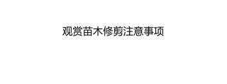 观赏苗木修剪注意事项