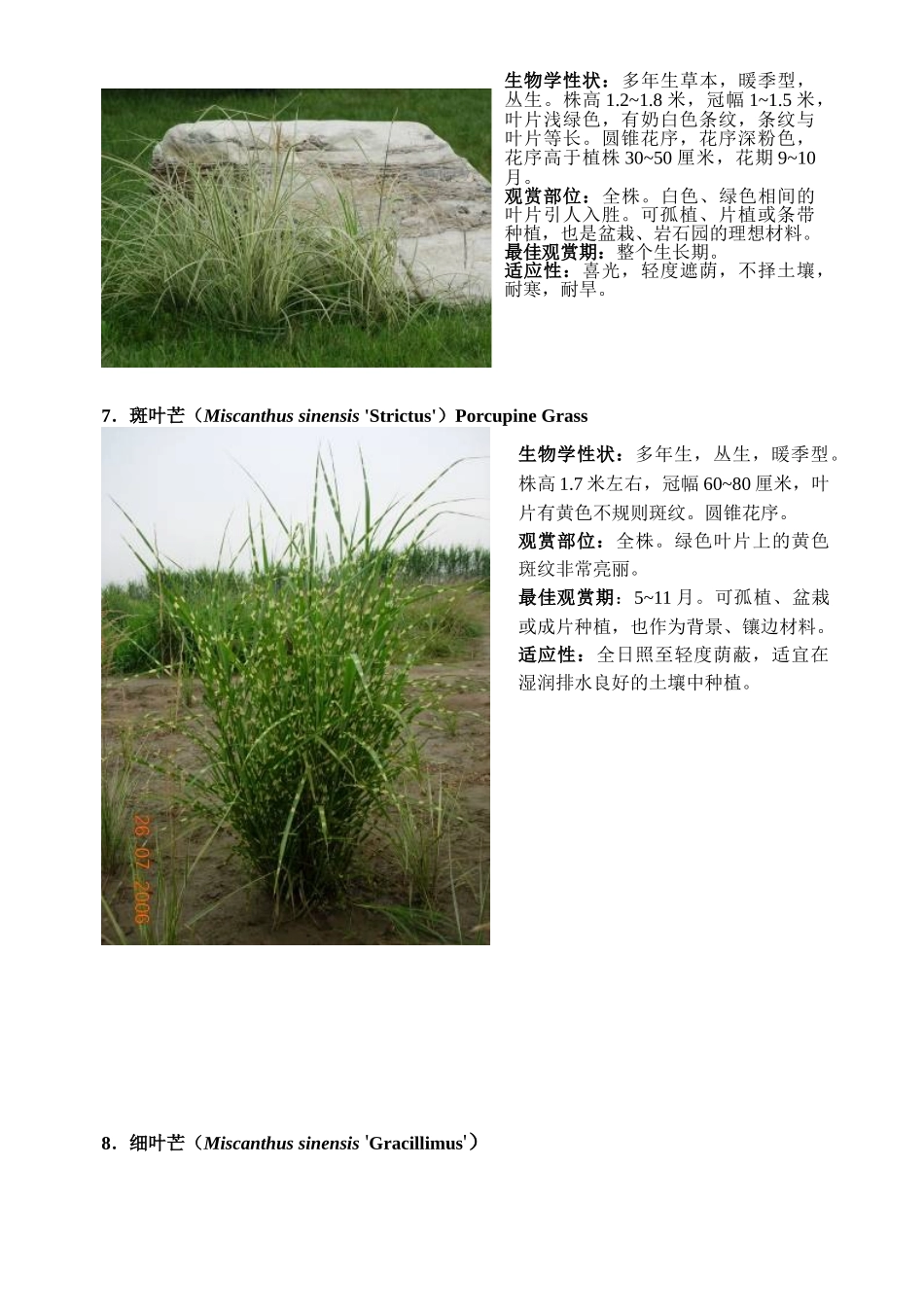 观赏草简介(34种)_第3页