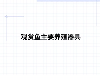 观赏鱼养殖ppt