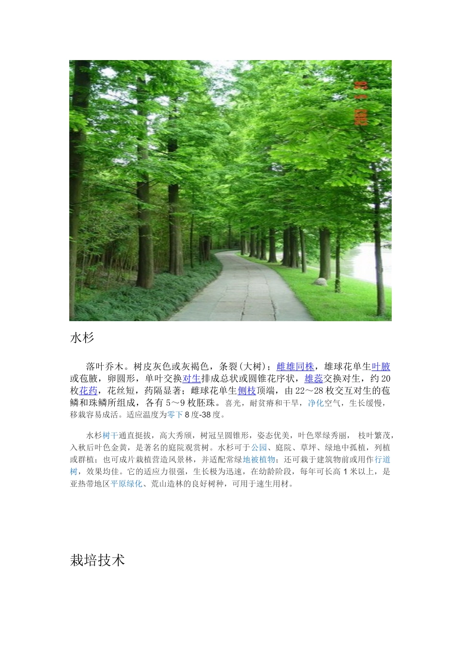 观赏植物的介绍_第1页