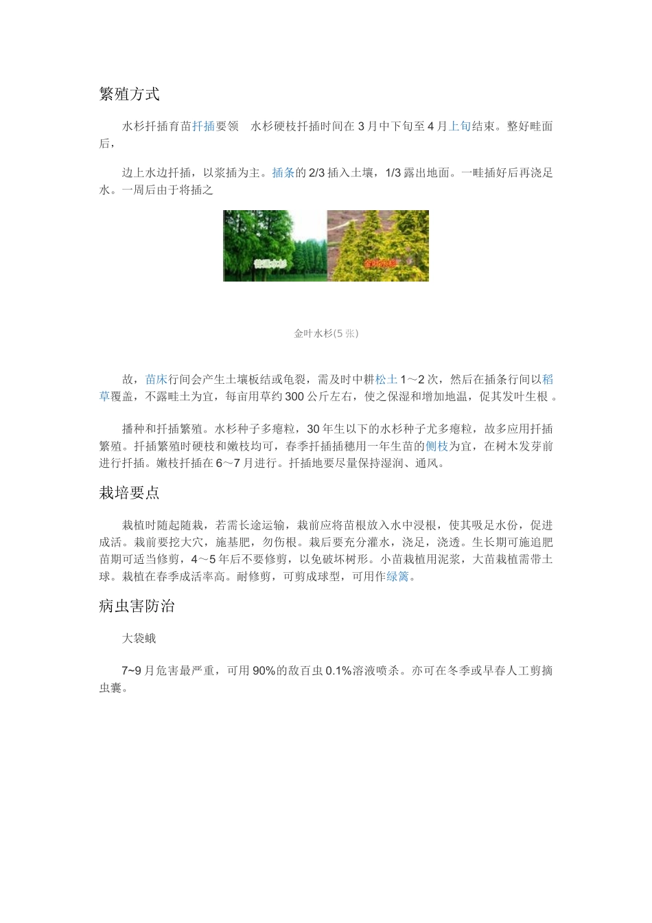 观赏植物的介绍_第2页