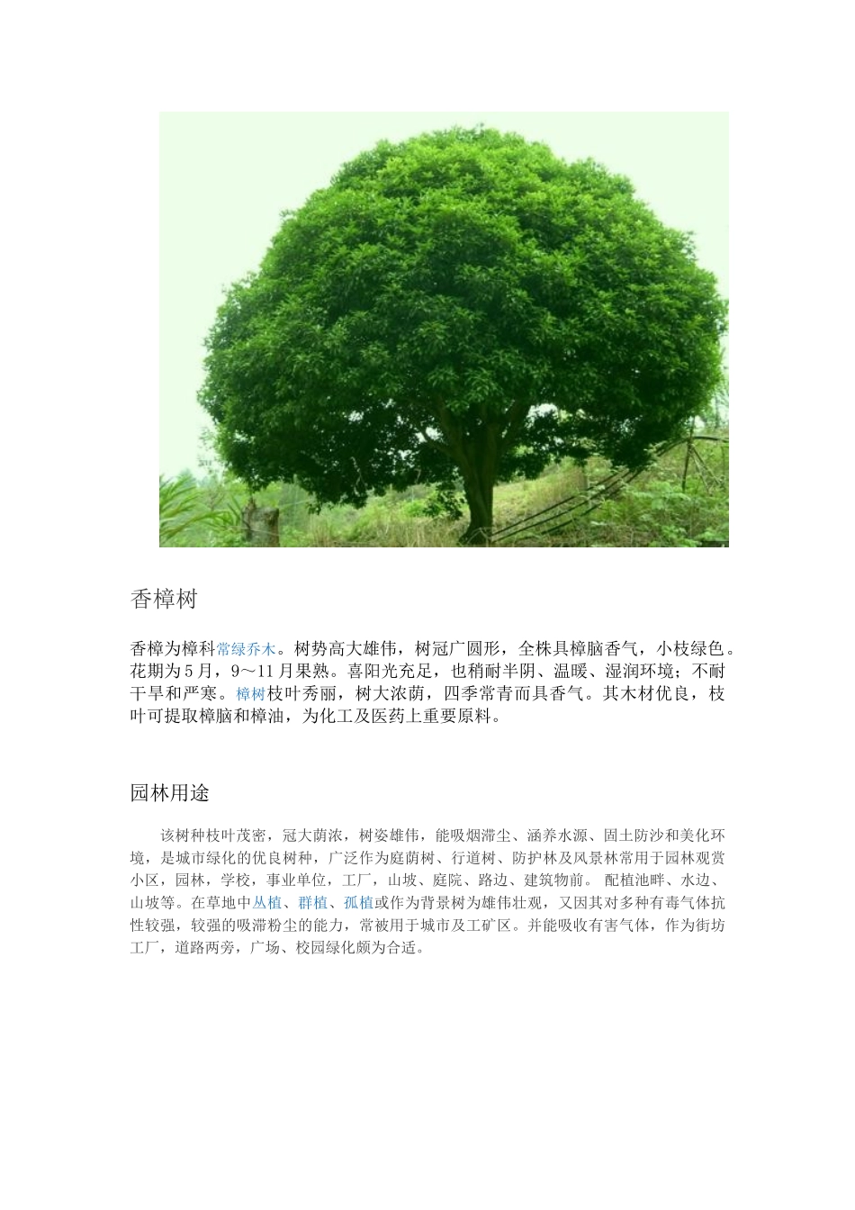 观赏植物的介绍_第3页