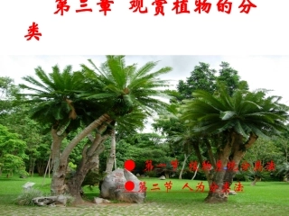 观赏植物的分类