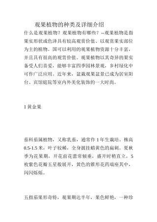 观果植物的种类及详细介绍