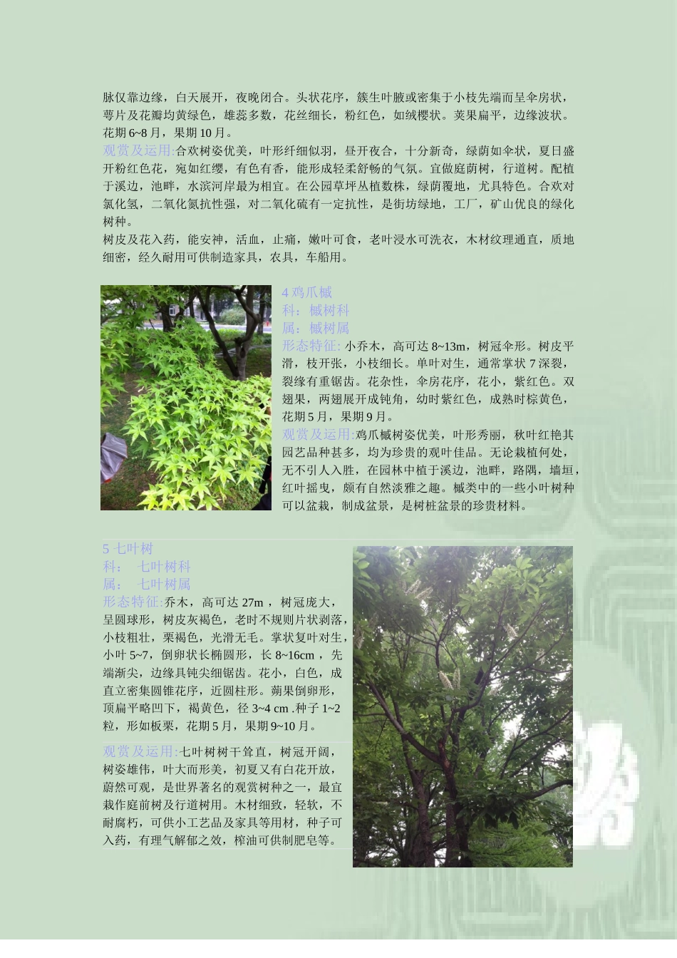 观赏植物学 图文并茂_第2页