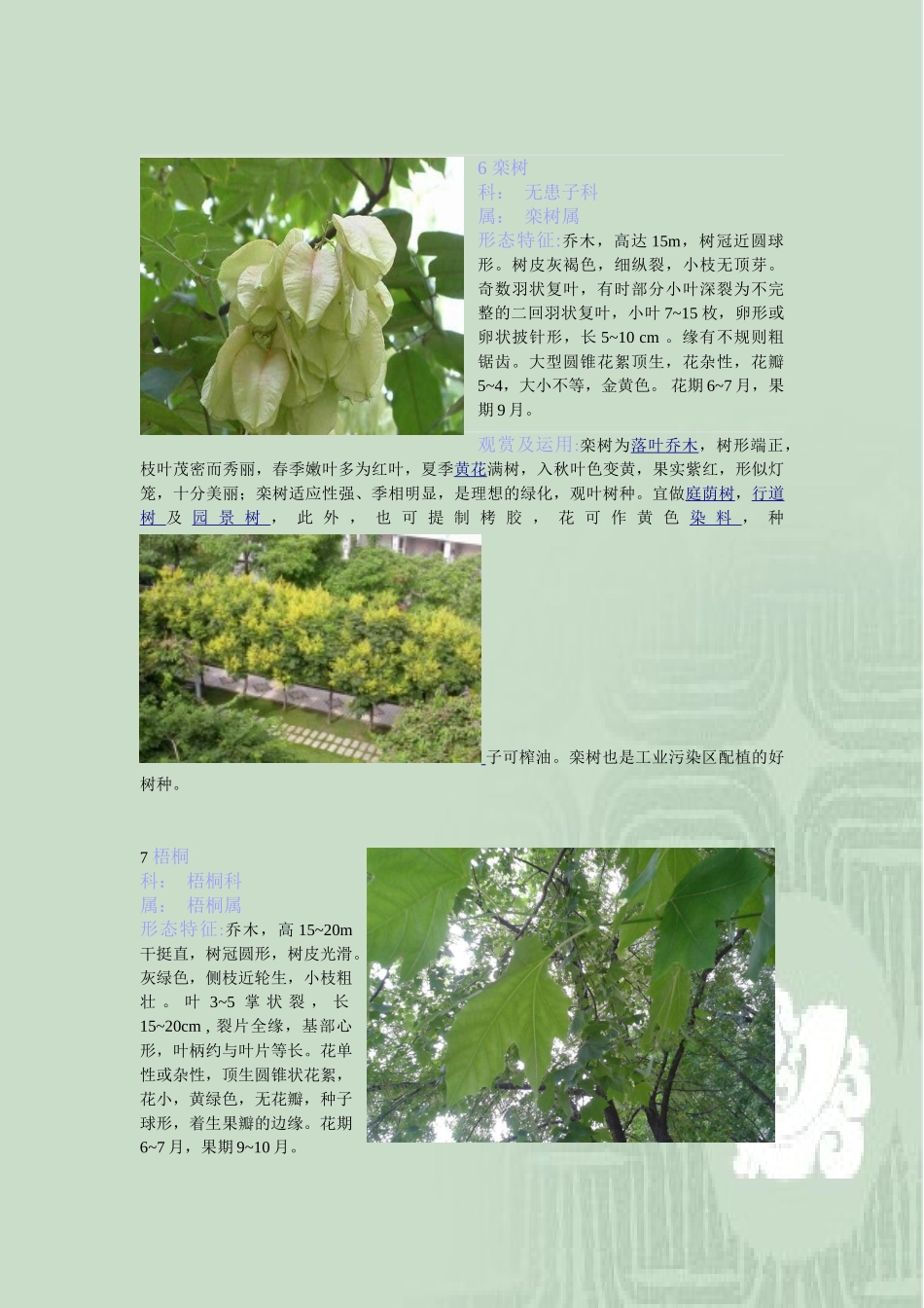 观赏植物学 图文并茂_第3页
