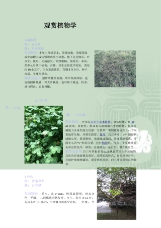 观赏植物学 图文并茂