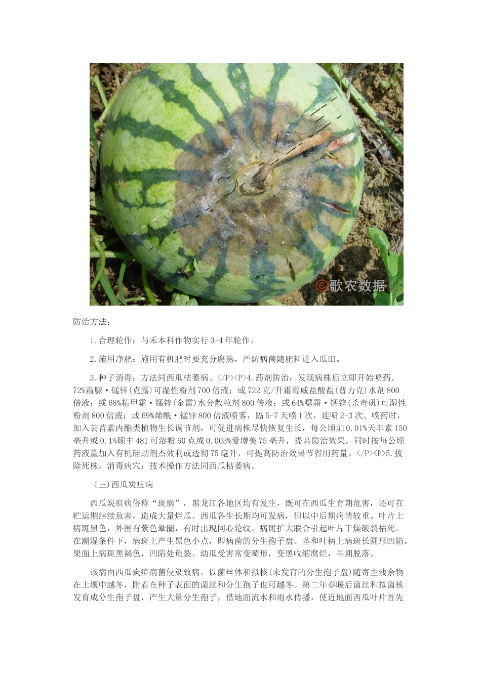 西瓜常见病害_第2页