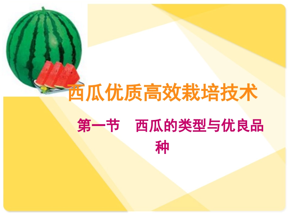 西瓜栽培全过程(公司内部培训)_第1页
