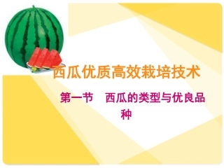 西瓜栽培全过程(公司内部培训)