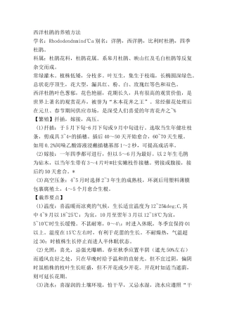 西洋杜鹃的养殖方法