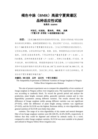 褐色中脉高粱创新实验论文