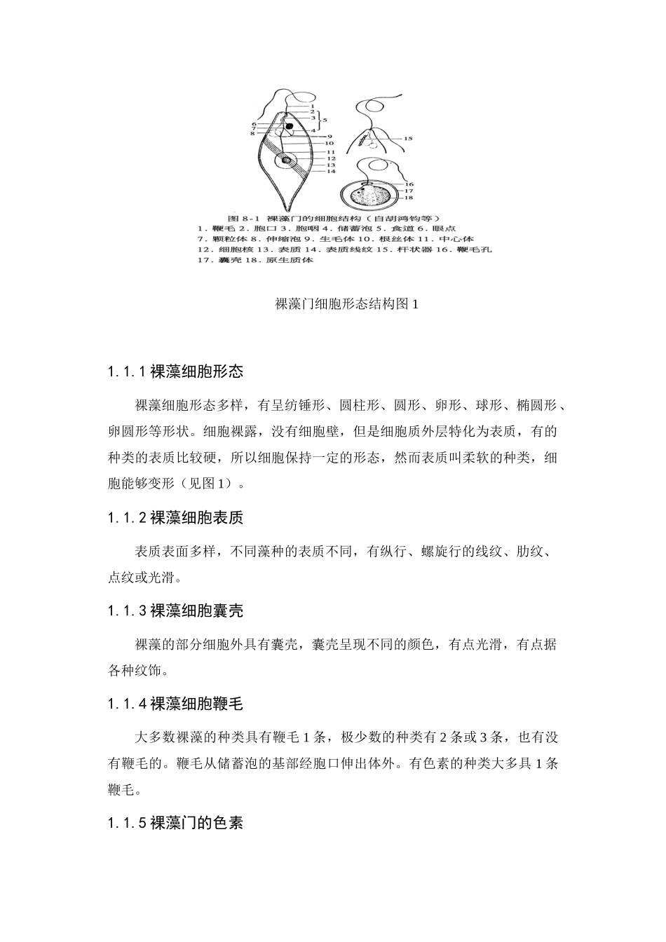 裸藻门特征与主要种类_第2页