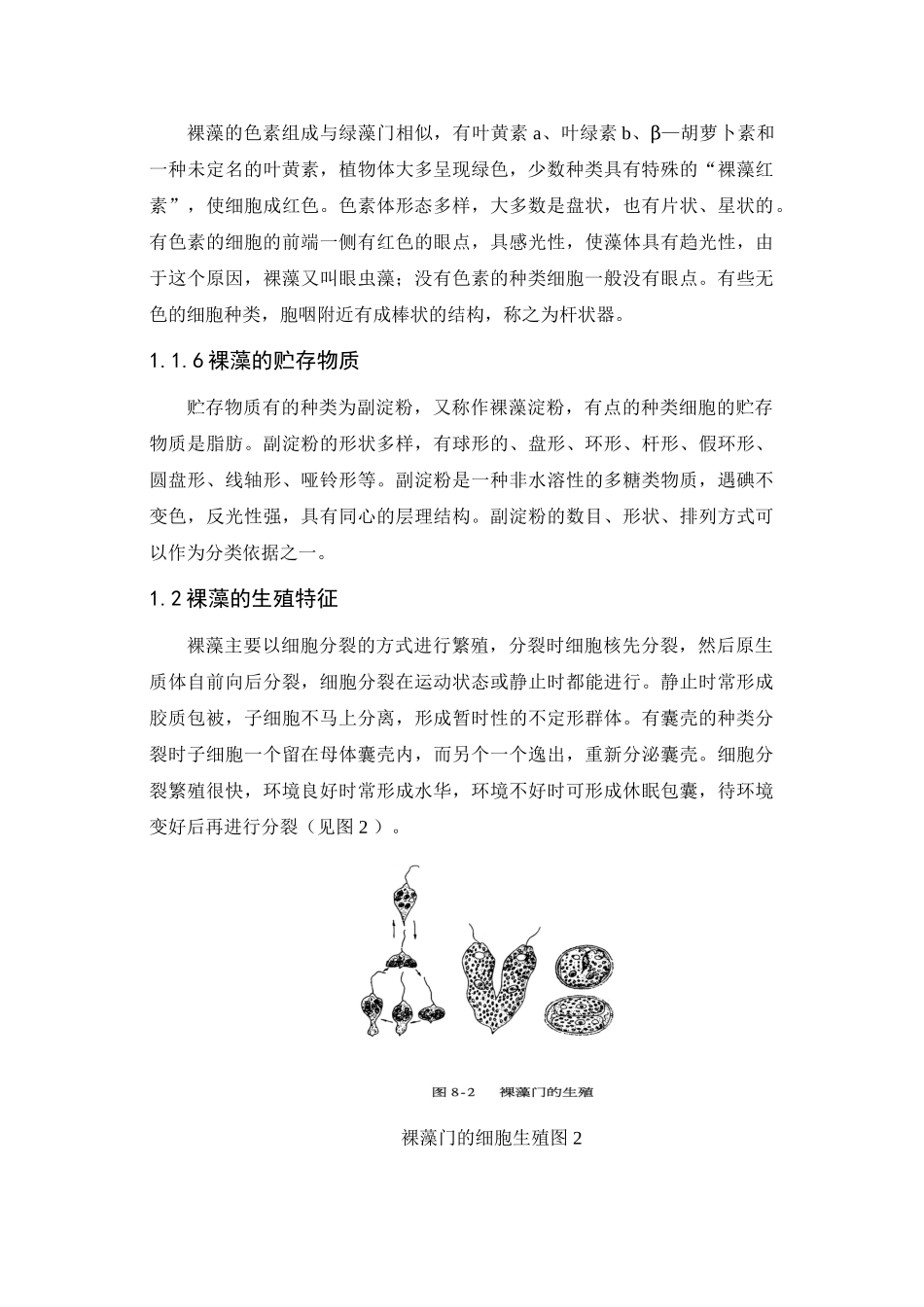 裸藻门特征与主要种类_第3页
