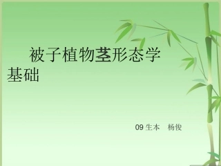 被子植物茎形态学基础