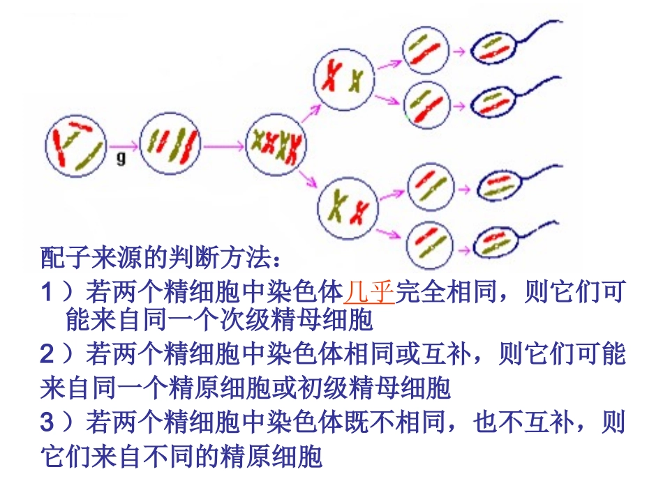 被子植物的双受精作用_第3页