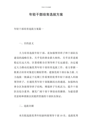 年轻干部培养选拔方案
