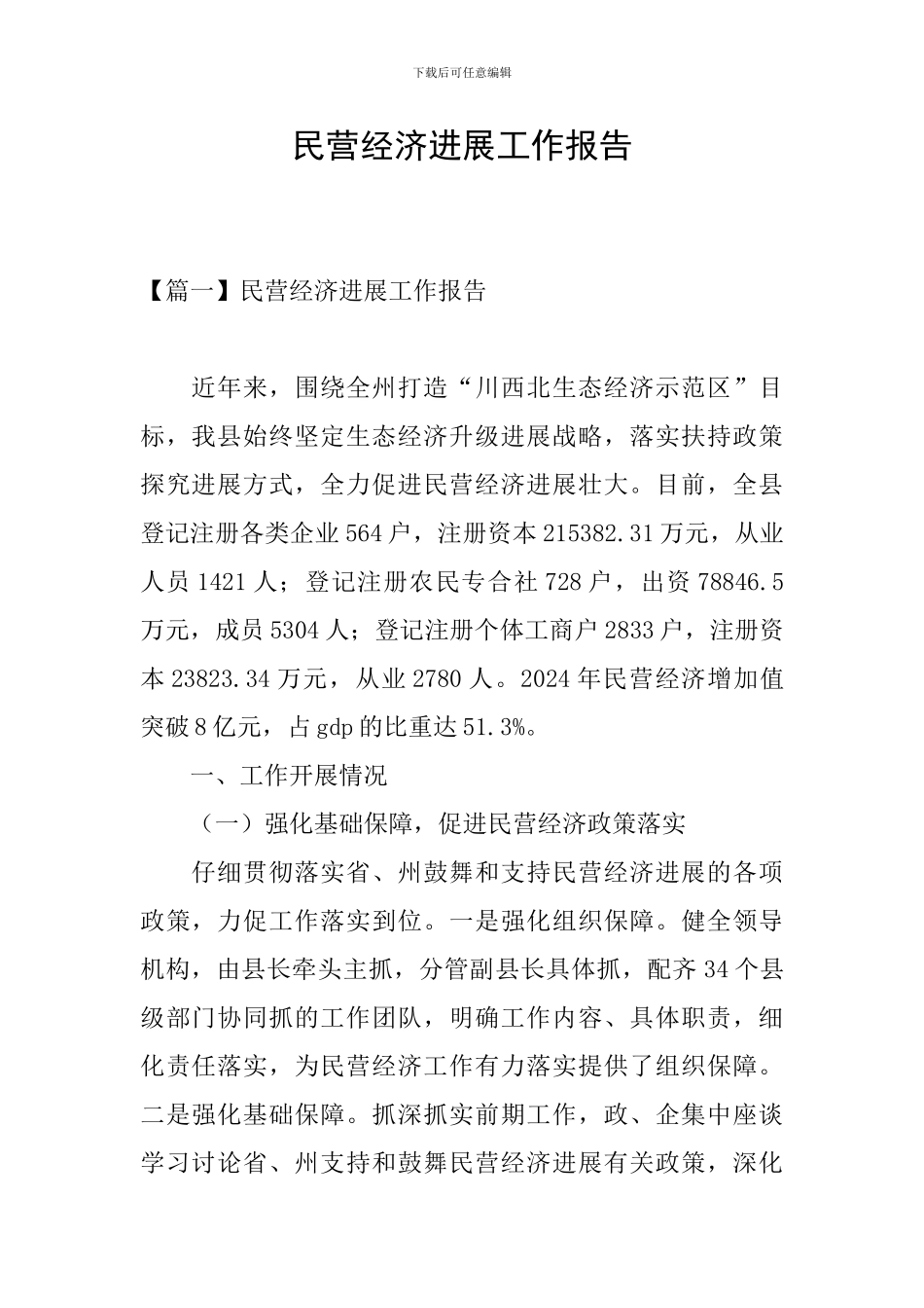 民营经济发展工作报告_第1页