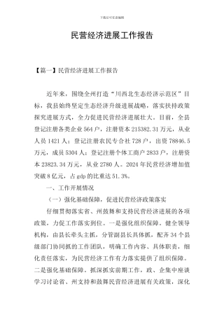 民营经济发展工作报告