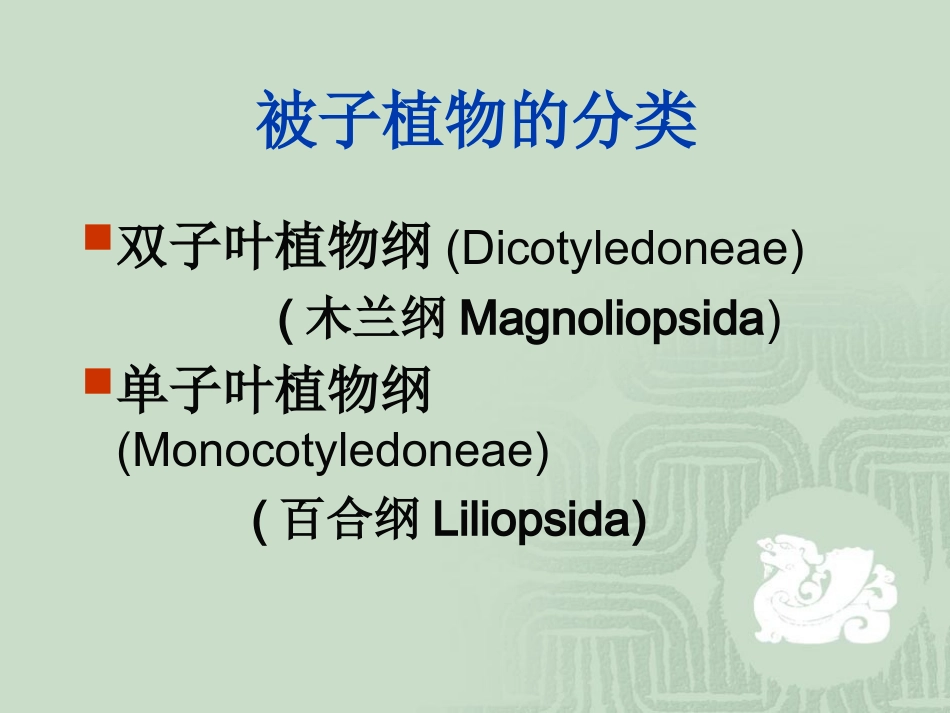 被子植物的分类1_第1页