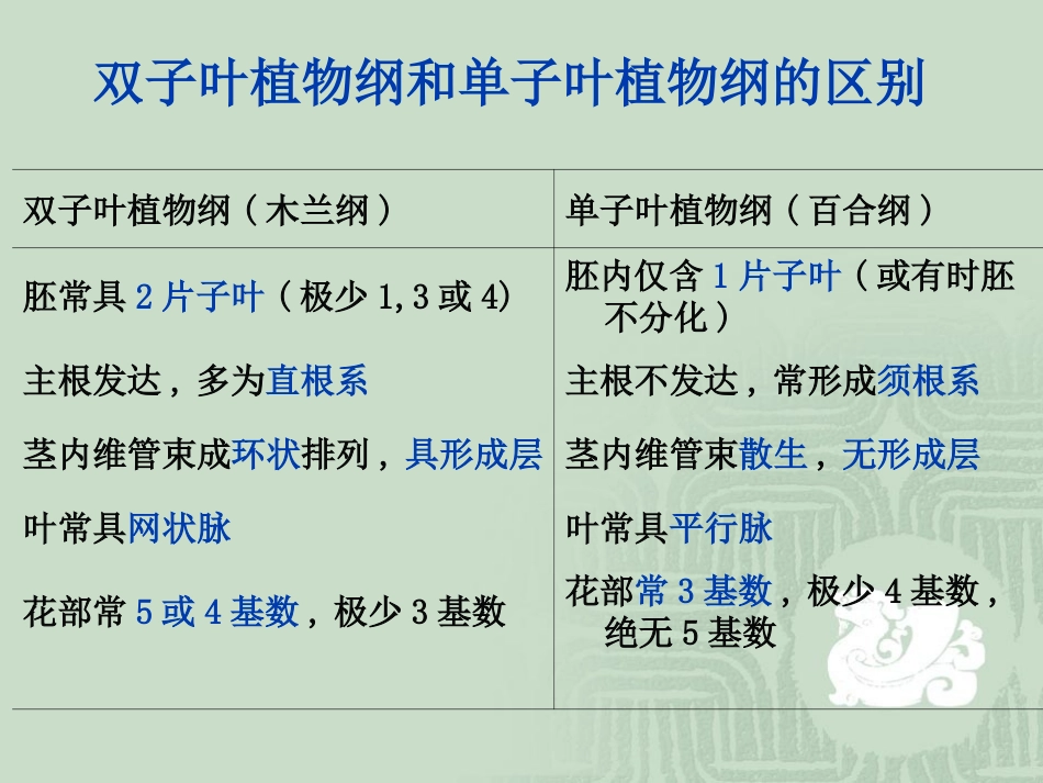 被子植物的分类1_第2页