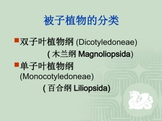 被子植物的分类1