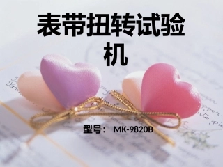 表带扭转试验机