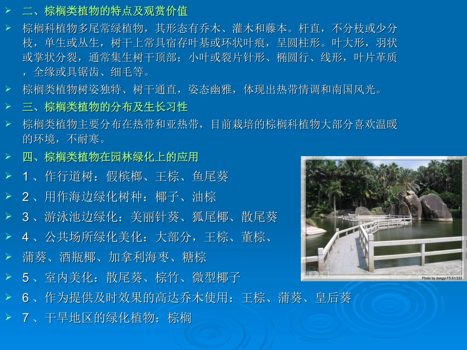 被子植物-棕榈类_第2页