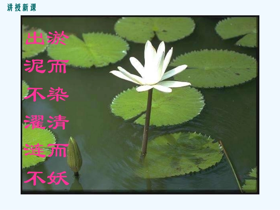 (部编)初中语文人教2011课标版七年级下册公开课《紫藤萝瀑布》PPT课件-(2)_第2页