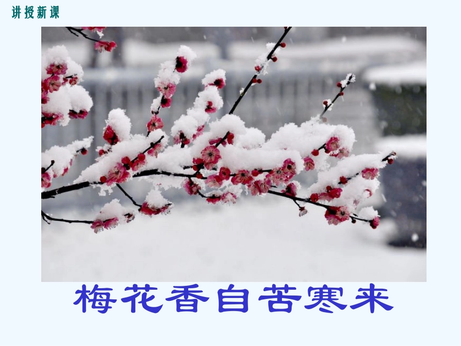 (部编)初中语文人教2011课标版七年级下册公开课《紫藤萝瀑布》PPT课件-(2)_第3页