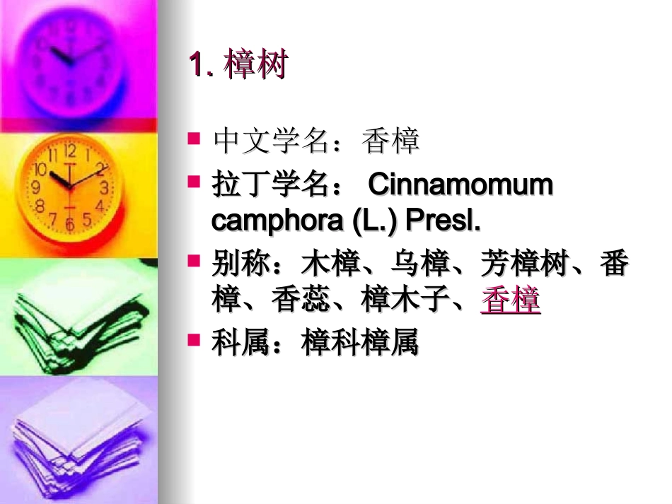 行道树的调查_第2页
