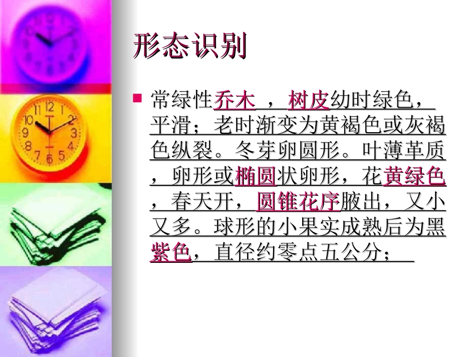 行道树的调查_第3页