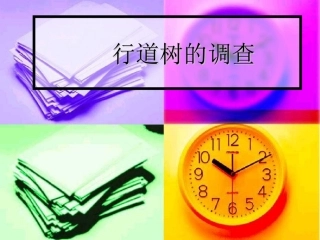 行道树的调查
