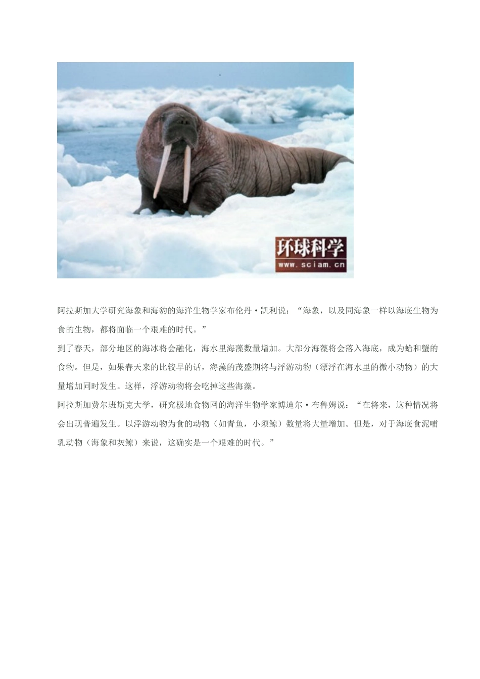 行动起来,还它美丽家园_第3页