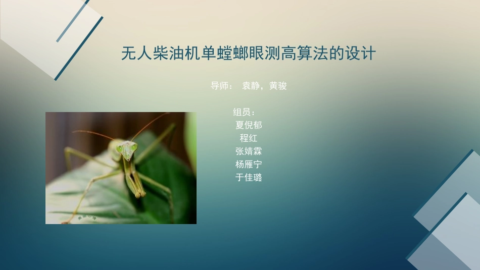 螳螂眼测高设计_第1页