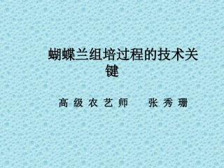 蝴蝶兰组培过程的技术关键