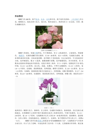 蝴蝶兰形态特征