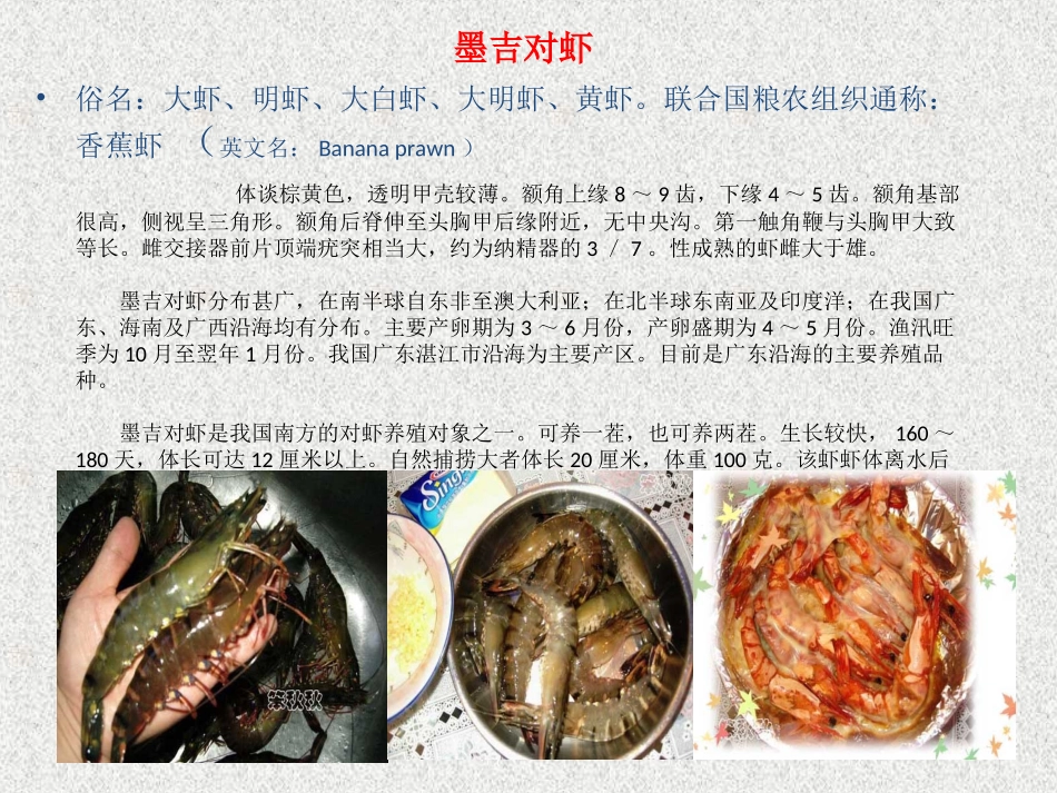 虾的种类,生活常识必备!!!_第3页