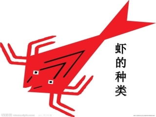 虾的种类,生活常识必备!!!
