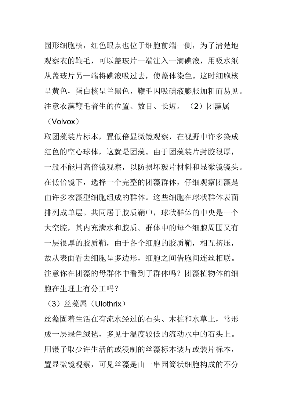 藻类植物观察_第2页