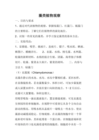 藻类植物观察