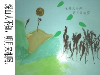 藻类干制标本画的制作