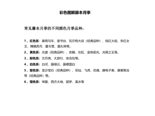 藤本月季彩色图解