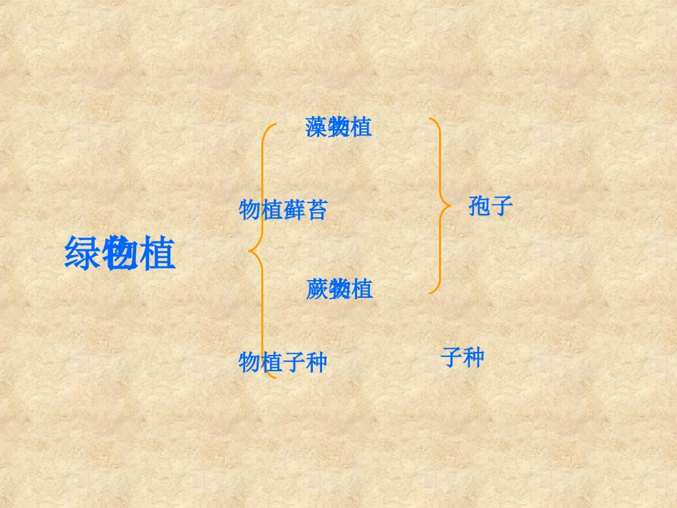 藻类、蕨类和苔藓_第3页