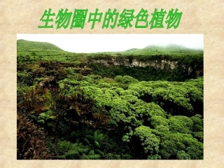 藻类、蕨类和苔藓